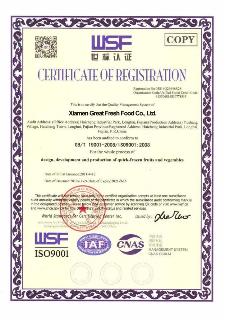 ISO 9001 certificate document