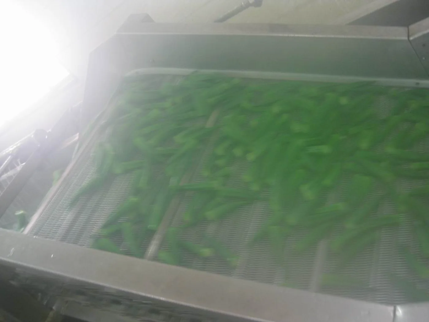 iqf frozen okra production checkpoint 5