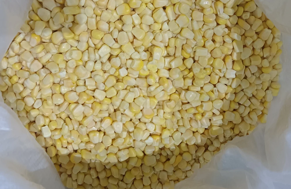 Frozen sweet corn kernel form for baking Whole frozen yellow sweet corn kernels in a white lined sack