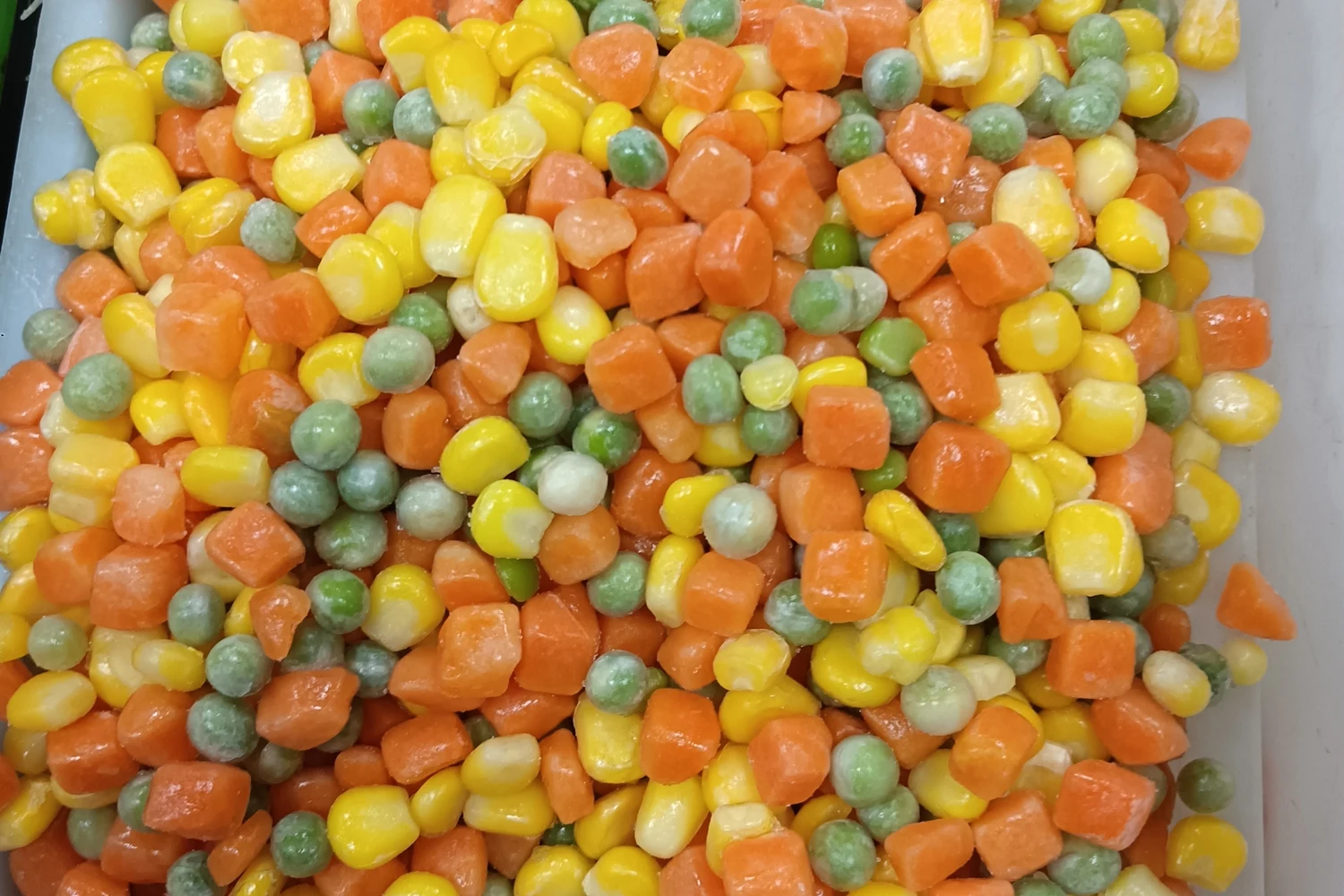 Real frozen carrot dice peas and corn on a plain tray showing incoming piece forms