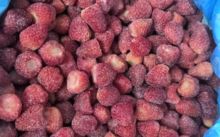 Fragole intere surgelate senza calice con brina e variazione naturale della forma in un rivestimento blu neutro