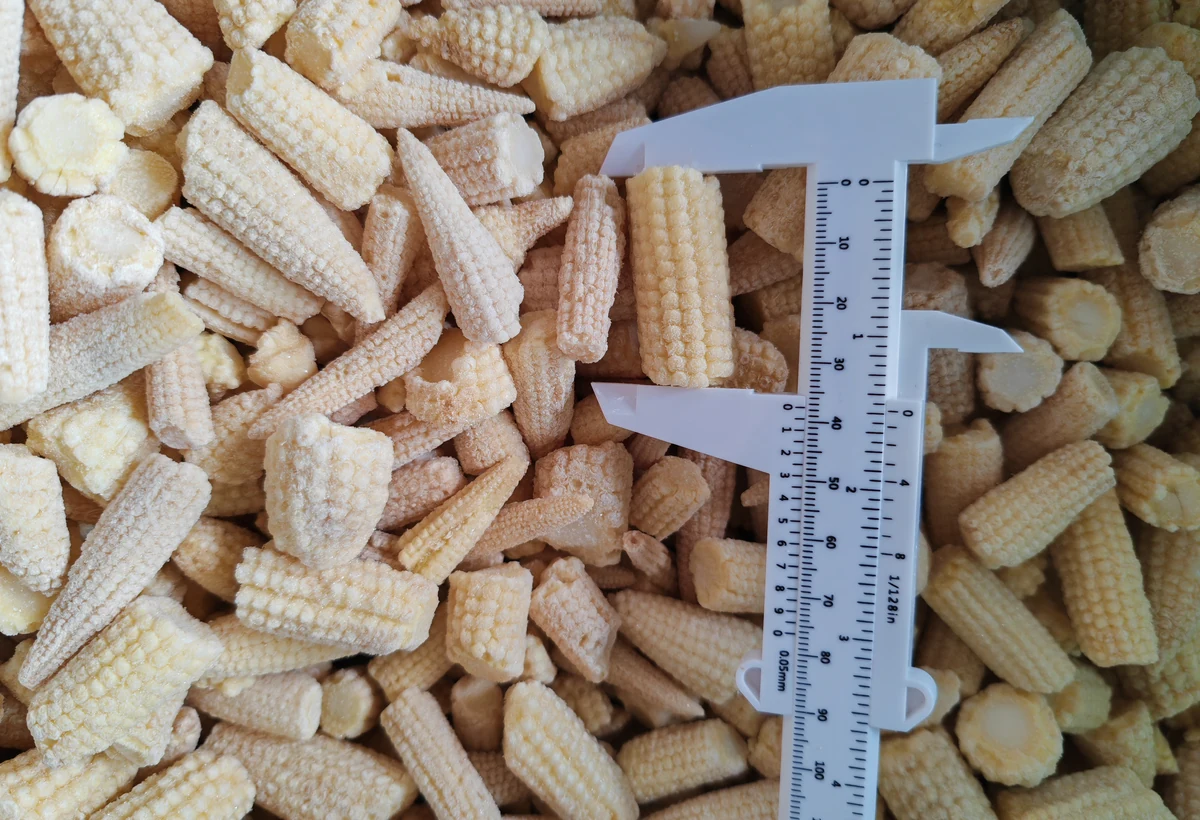 Declared cut baby corn compared with broken whole-cob pieces Frozen cut baby corn pieces surrounding a white caliper