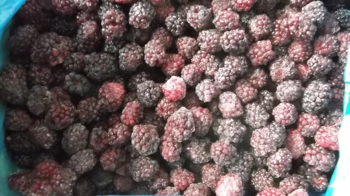 Whole frozen blackberry SKU for a mixed order Whole frosted blackberries in a plain blue liner showing a separate fruit SKU