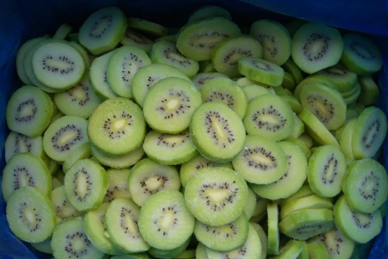 Frozen kiwifruit slices in a blue liner showing their circular seed pattern before a dessert trial