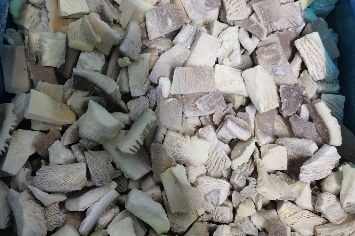 Vista superior original distinta de piezas de setas ostra congeladas en una bandeja de producto con revestimiento azul.