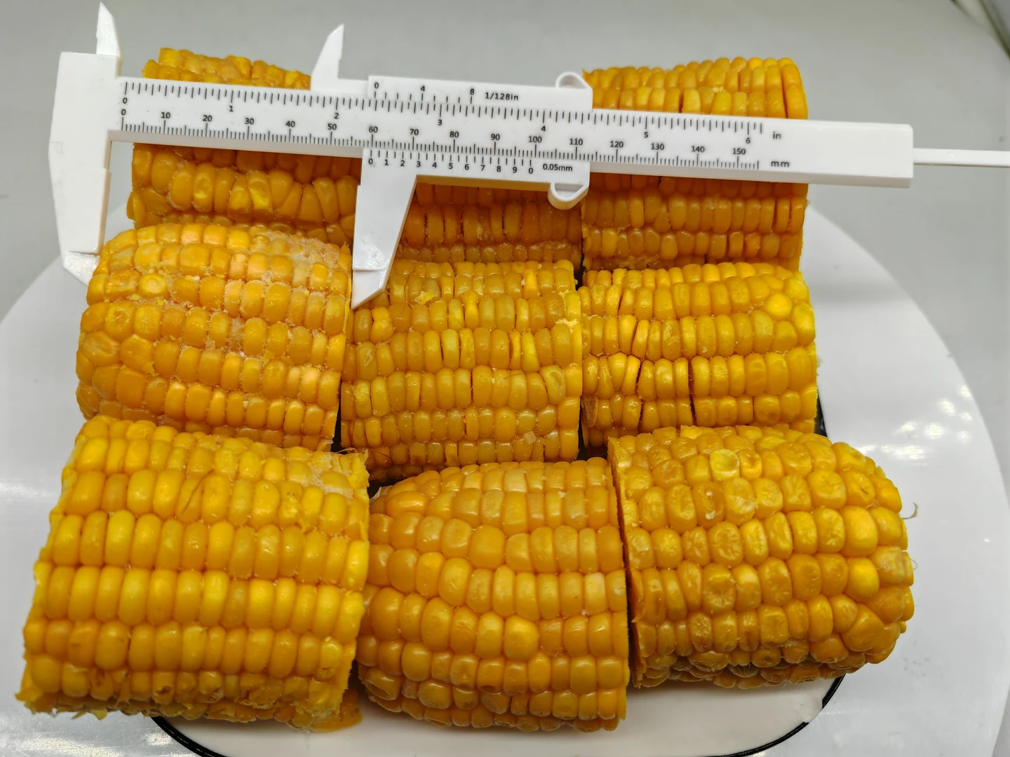 Corn section geometry product reference Original frozen corn sections beside an unbranded caliper