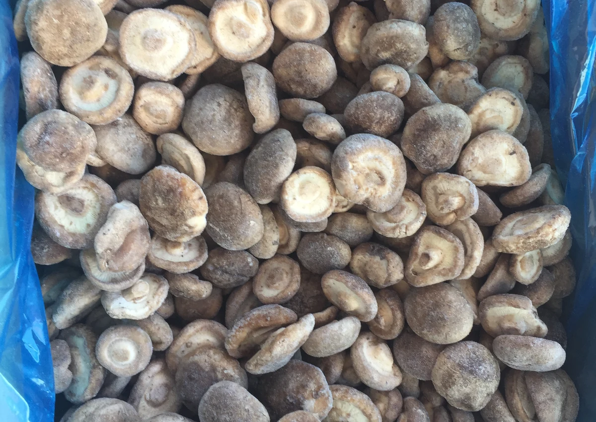 Whole frozen shiitake caps before cooking Whole frozen shiitake caps in a plain tote show the ingredient form before cooking