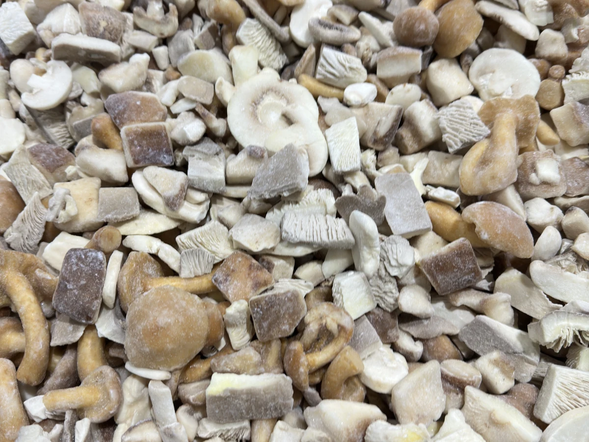 Frozen mushroom form in a multi-SKU comparison Frozen mixed mushroom caps, stems and cut pieces showing a distinct SKU form