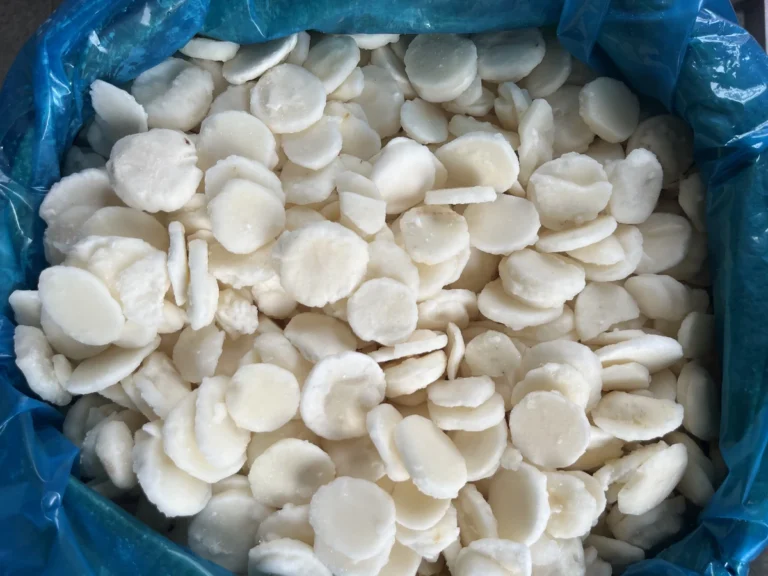Fette originali di castagne d’acqua surgelate con superfici tagliate dal bianco al crema e brina superficiale visibile
