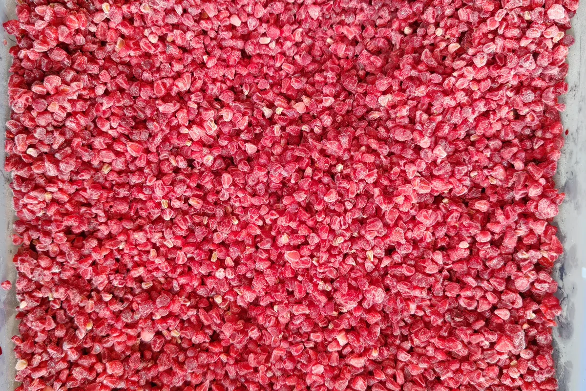 Forme émiettée à réception Fragments et drupéoles libres sur plateau, autre forme entrante.