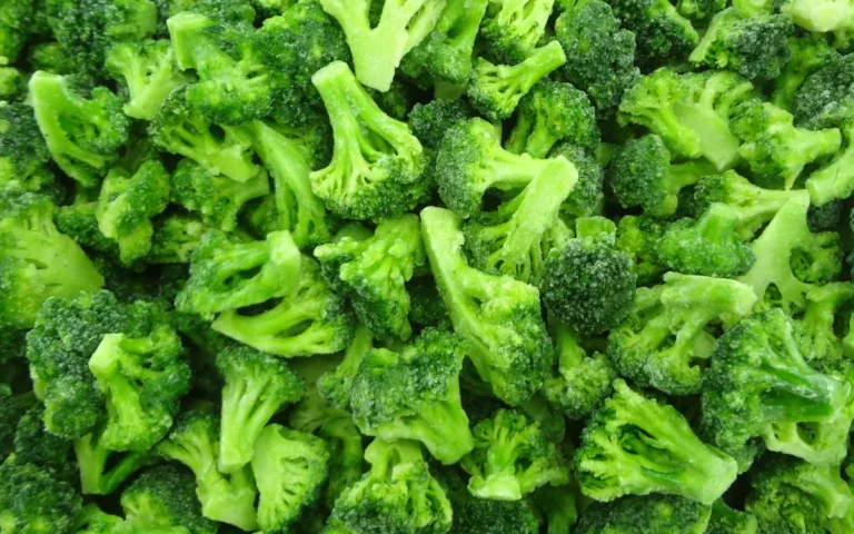 Cimette originali di broccoli surgelate con sommità verdi, gambi tagliati chiari e brina visibile