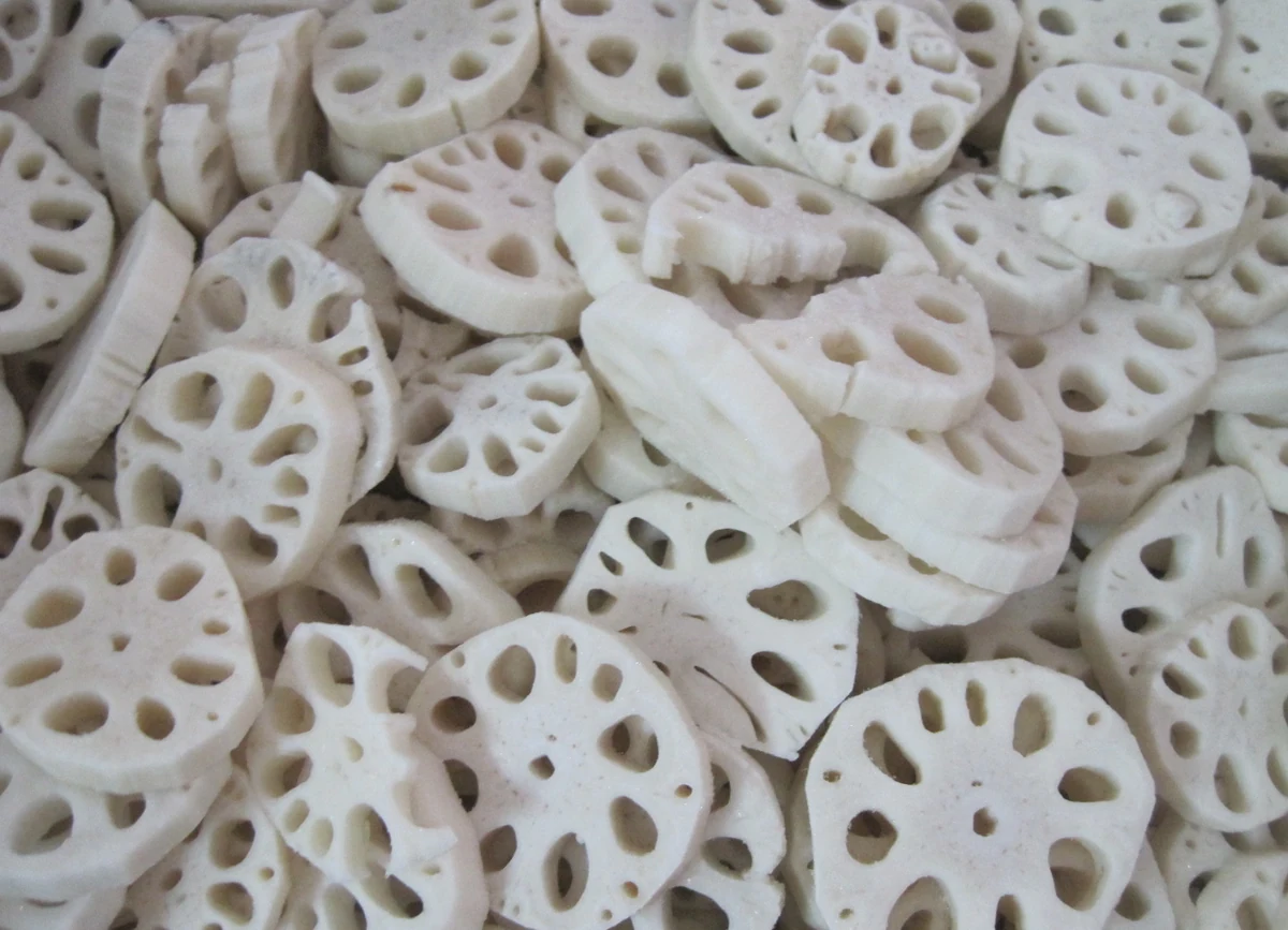 Frozen lotus-root piece forms for a buyer observation record Separate unbranded photograph of frozen lotus-root rounds and pieces on a neutral surface