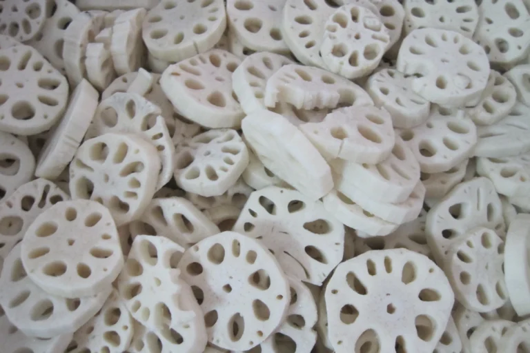 Pale frozen lotus root rounds with distinct holes in an open pile