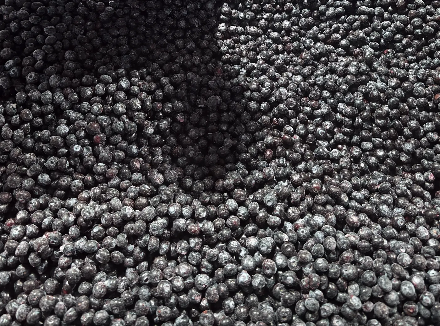Product appearance cannot establish origin Blueberries visible on a sorting surface