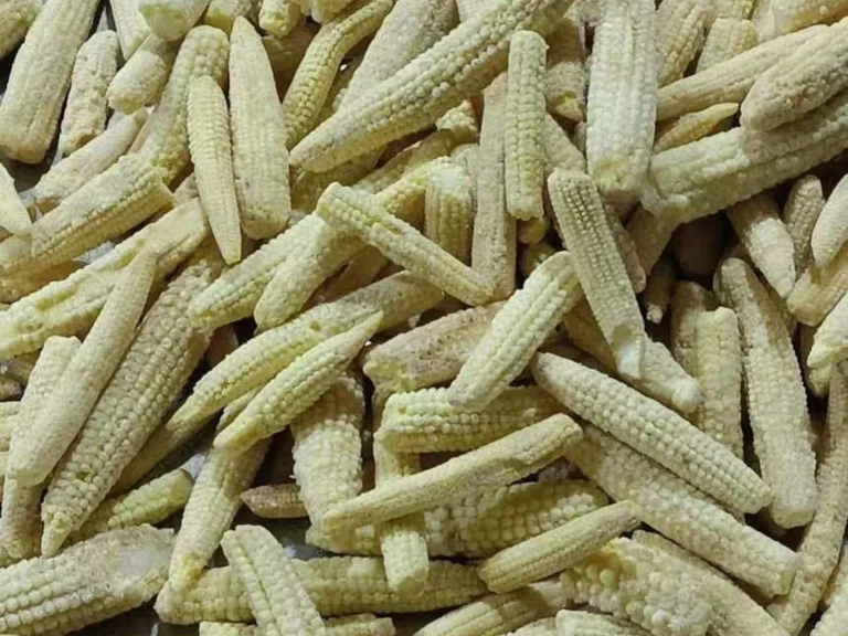 Frozen baby corn pieces on a metal tray