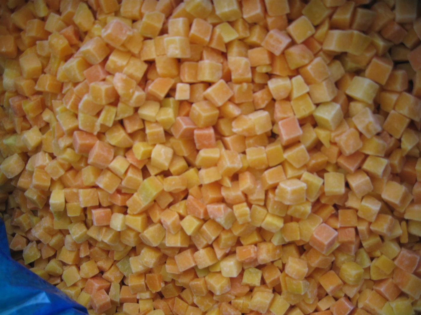 Pumpkin cube surfaces Orange pumpkin cubes with visible frost in a blue liner