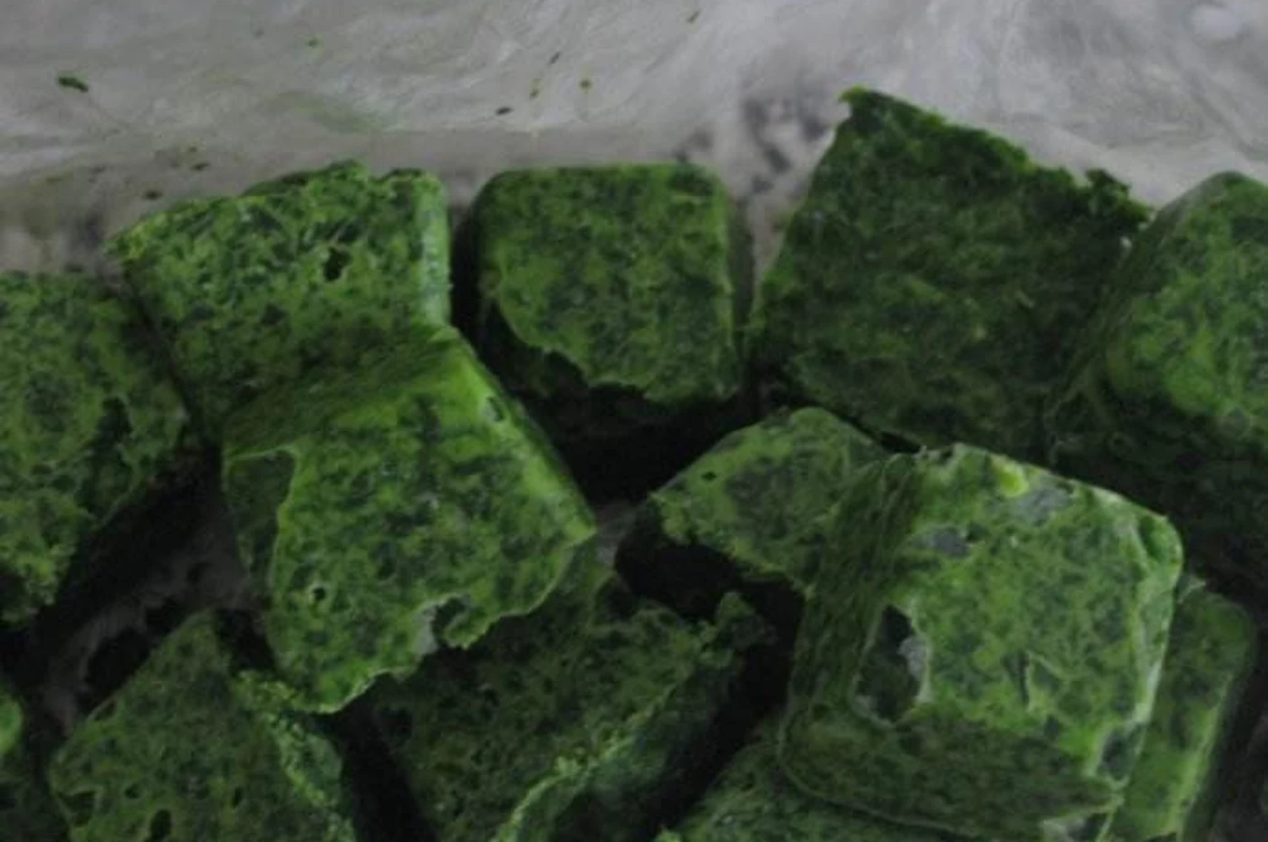 Frozen spinach block form Compact frozen spinach blocks in a real product sample