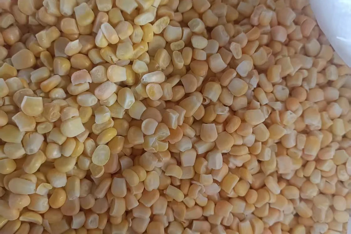 Corn kernel appearance and portion basis Pale yellow sweet corn kernels in an open clear-lined bag
