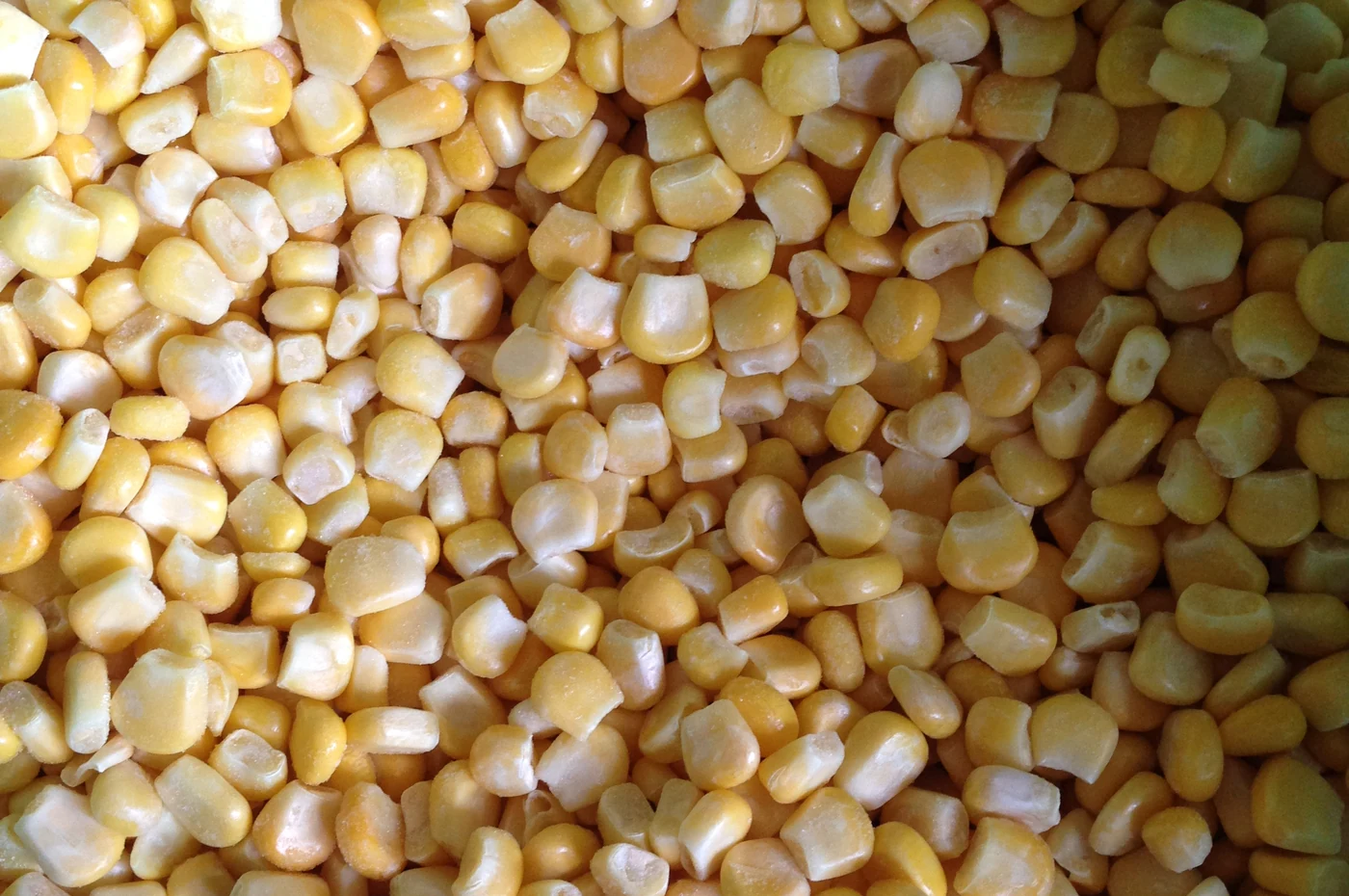 Frosted yellow sweetcorn kernels in a plain product close-up