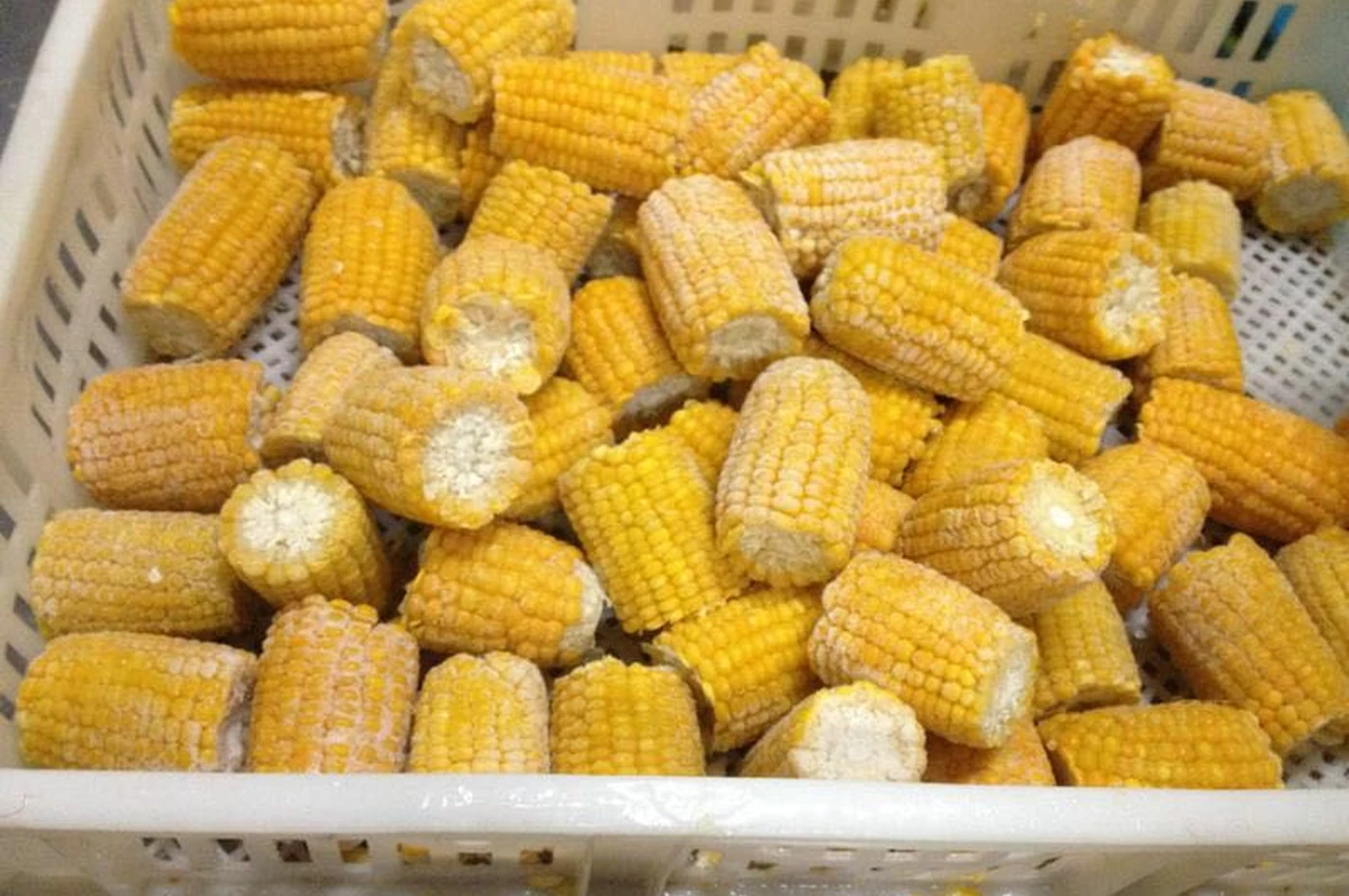 Corn portions with frost in a plain perforated crate, illustrating the food counted separately from packing