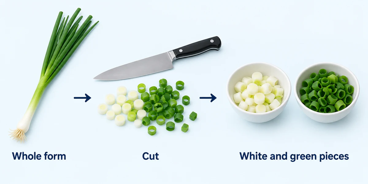 Whole slender green onion changing into pale pieces and hollow green rings