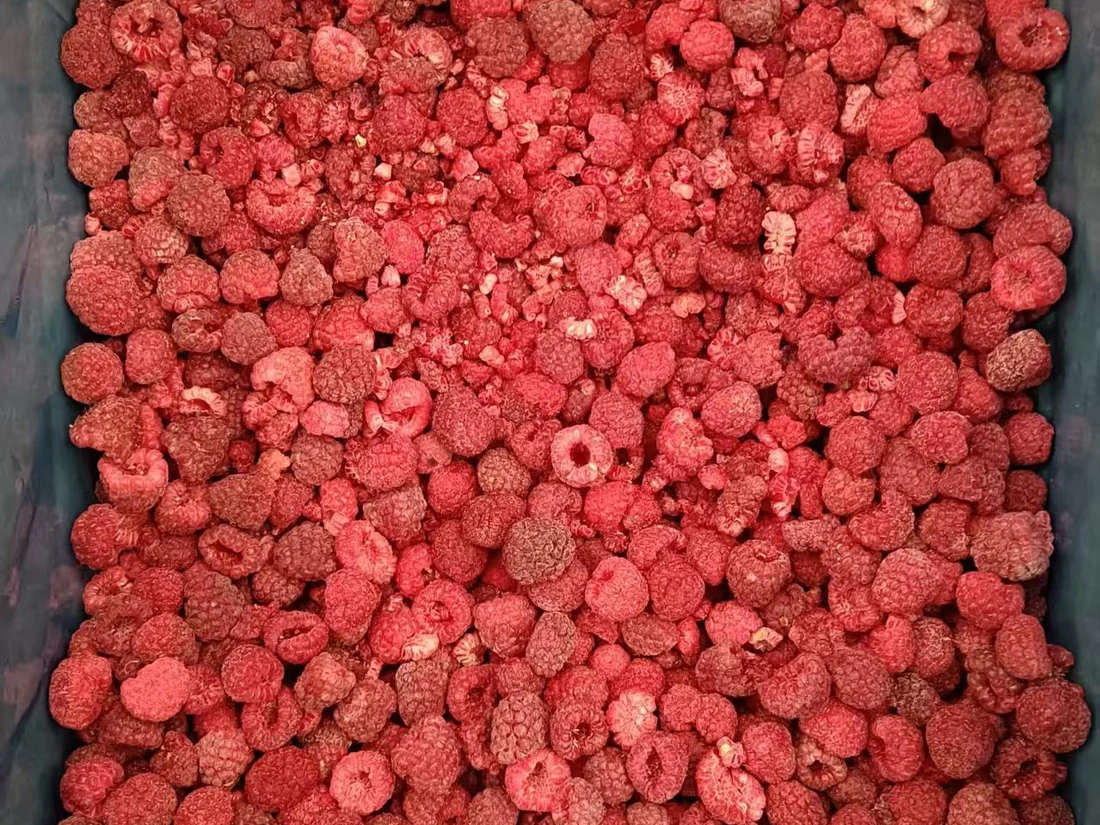 Whole and broken frozen raspberries in a dark container
