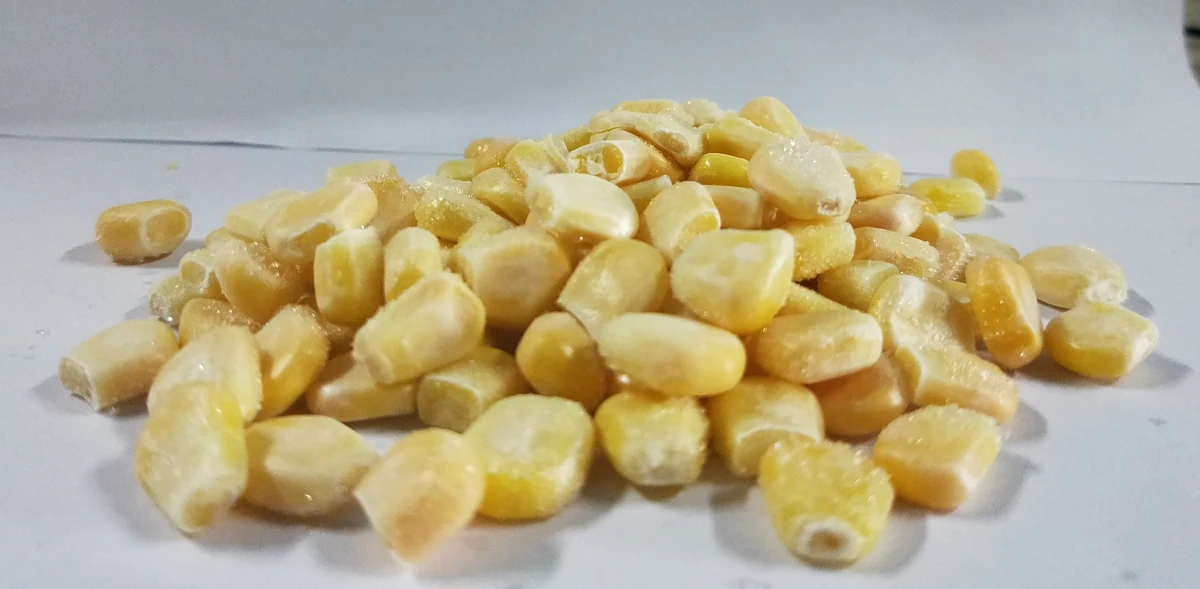 Loose sweet corn kernel form Loose yellow corn kernels on a plain light surface