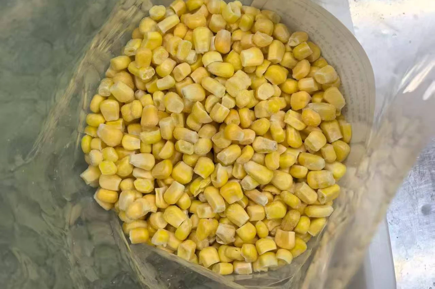 Loose frozen corn kernels Loose yellow corn kernels in a real sample container