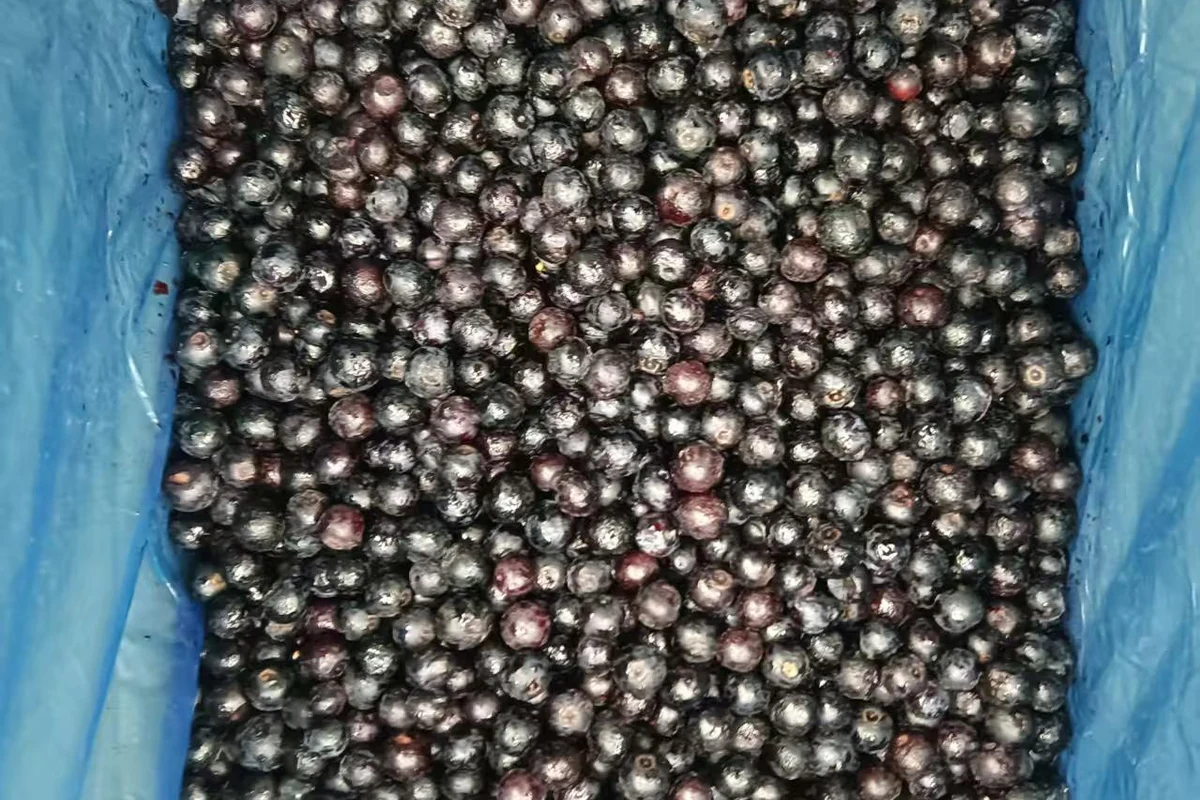 Inspect the berry surface separately A separate portion of whole blueberries showing individual skin surfaces