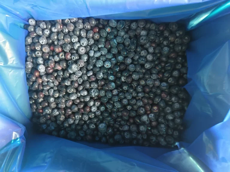 Whole frosted blueberries in a blue-lined container